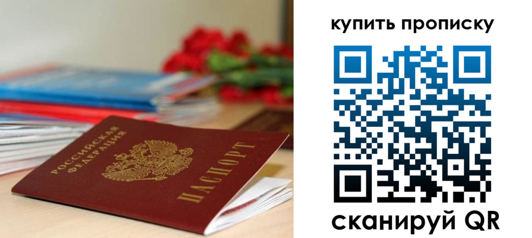 где прописаться в Сертолово